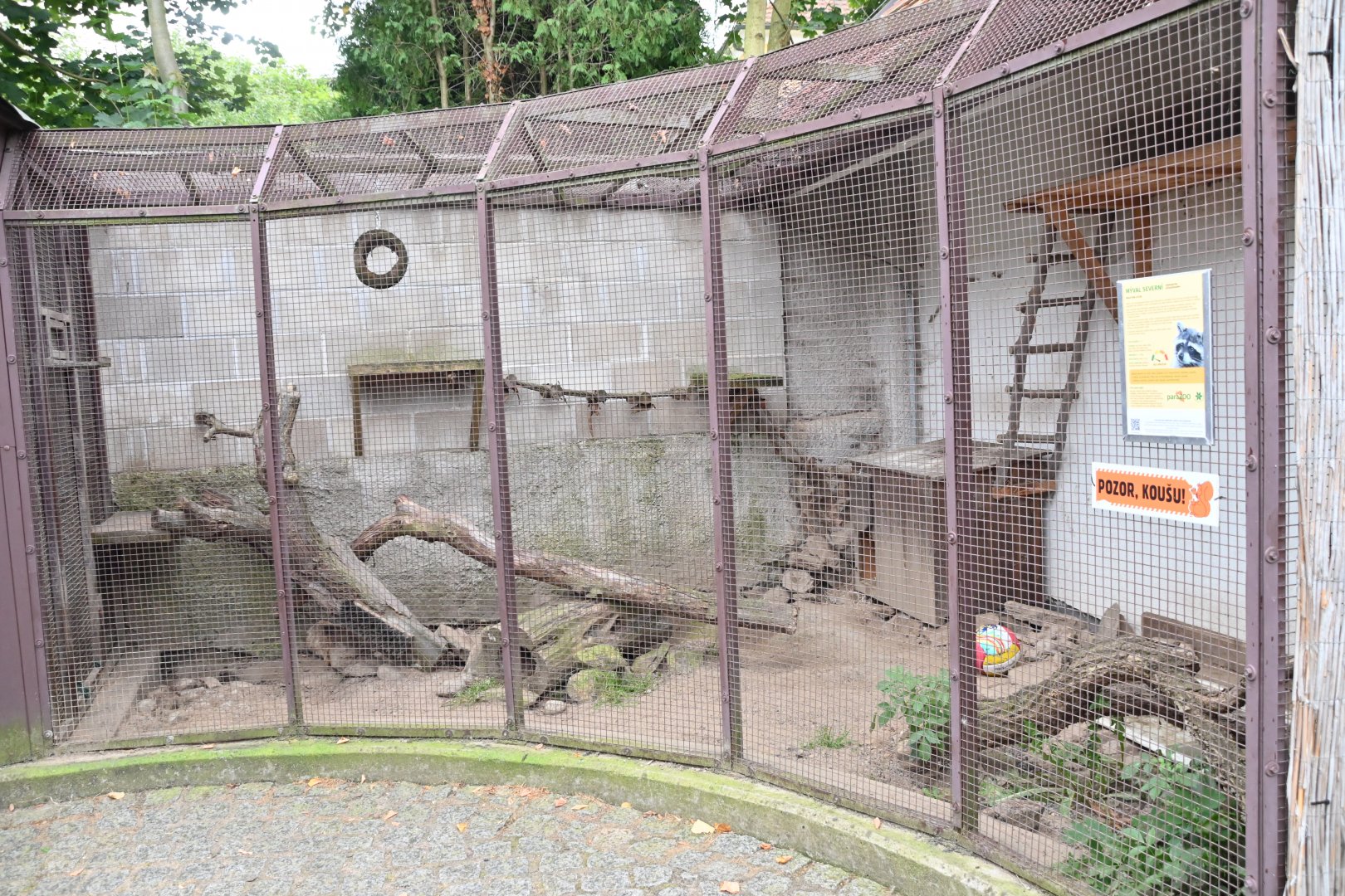 paraZOO - raccoon exhibit
