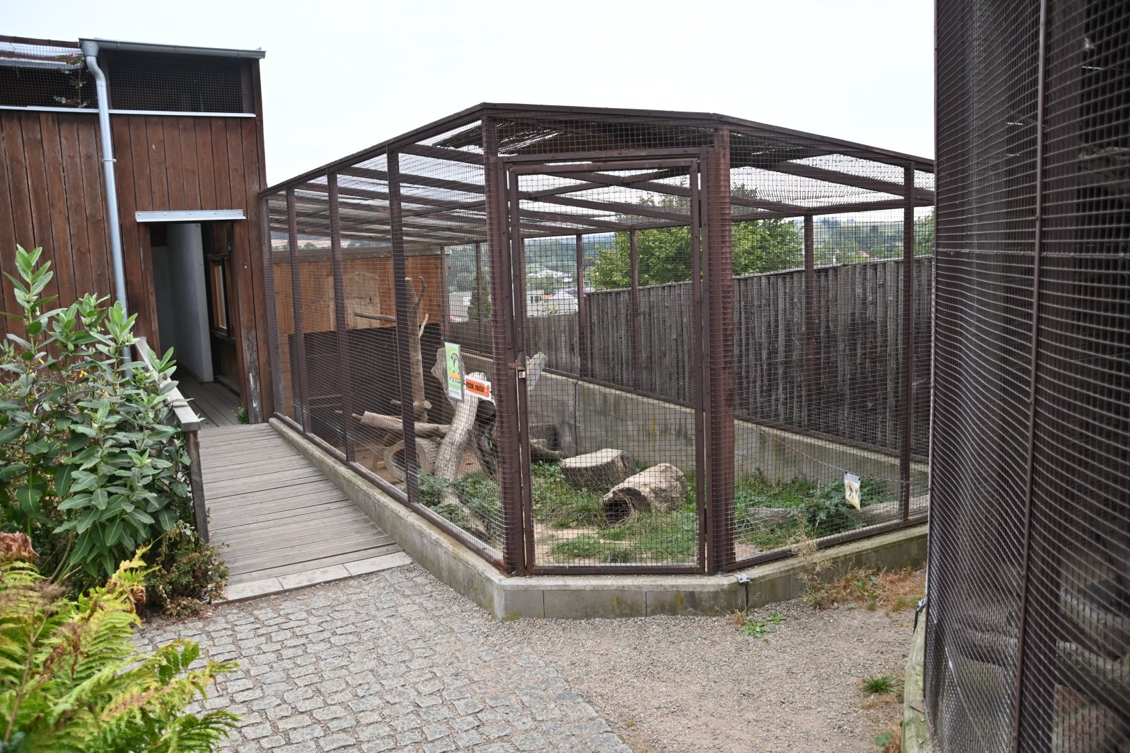 paraZOO - red fox exhibit