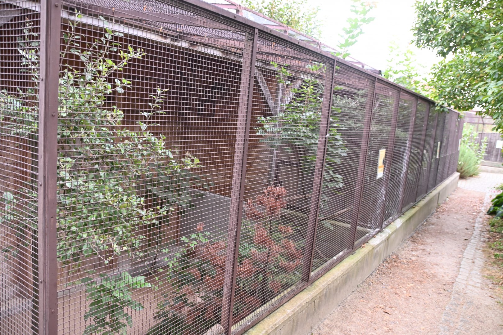 paraZOO - row of aviaries