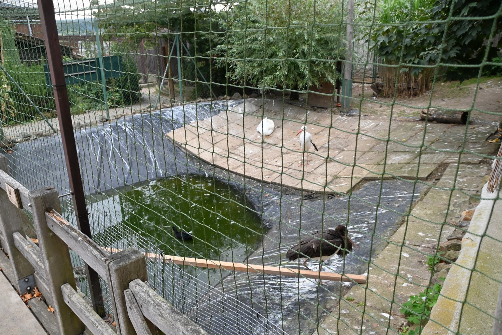 paraZOO - waterbird aviary