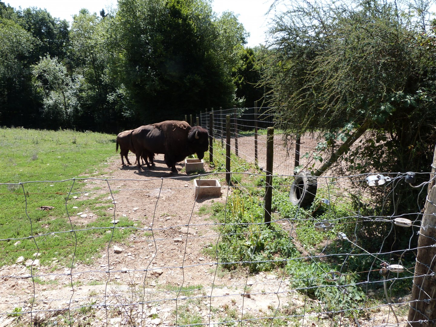 Parc animalier de Bouillon
