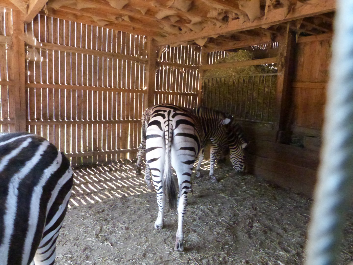 Parc animalier de Bouillon
