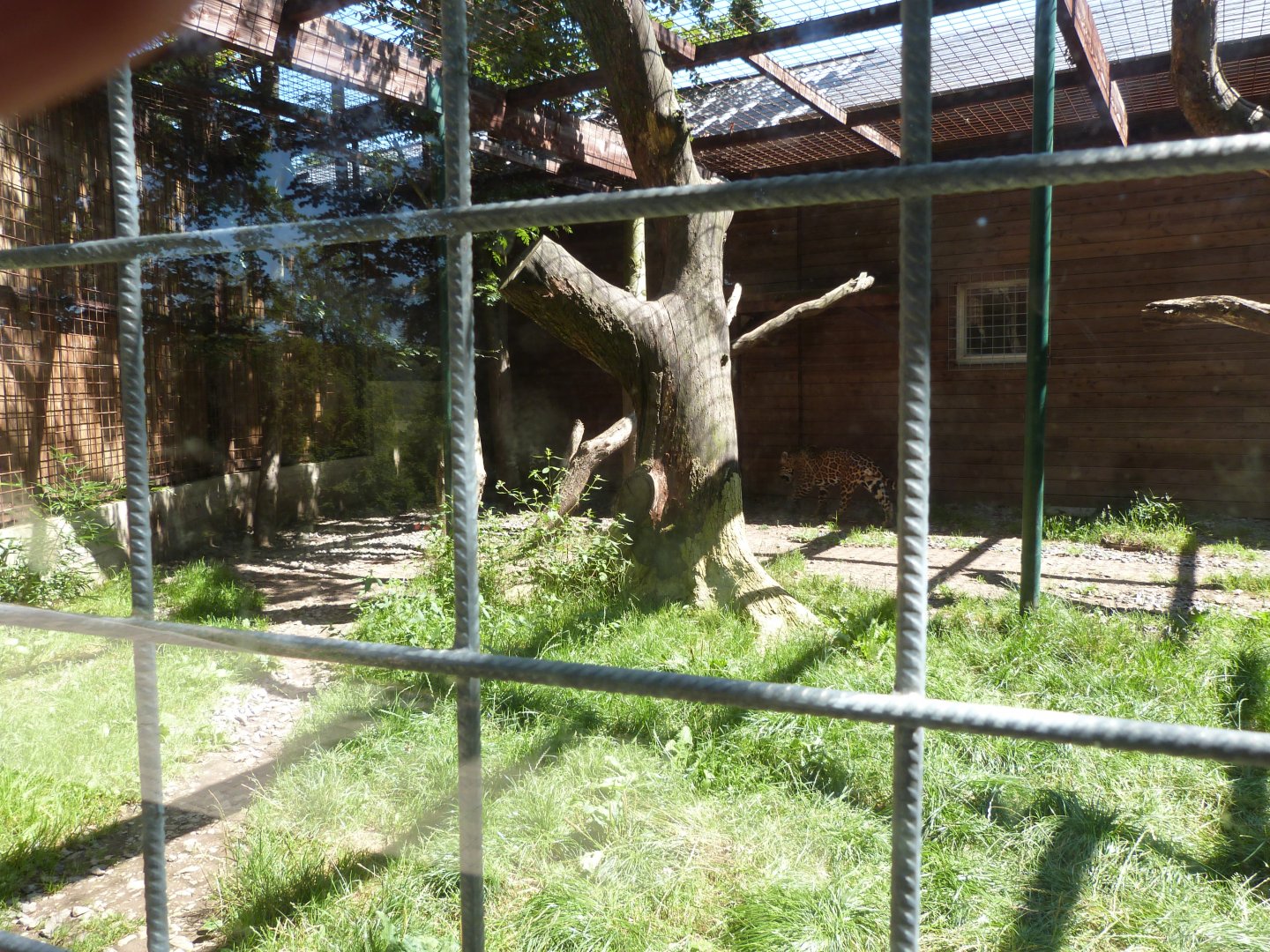 Parc animalier de Bouillon