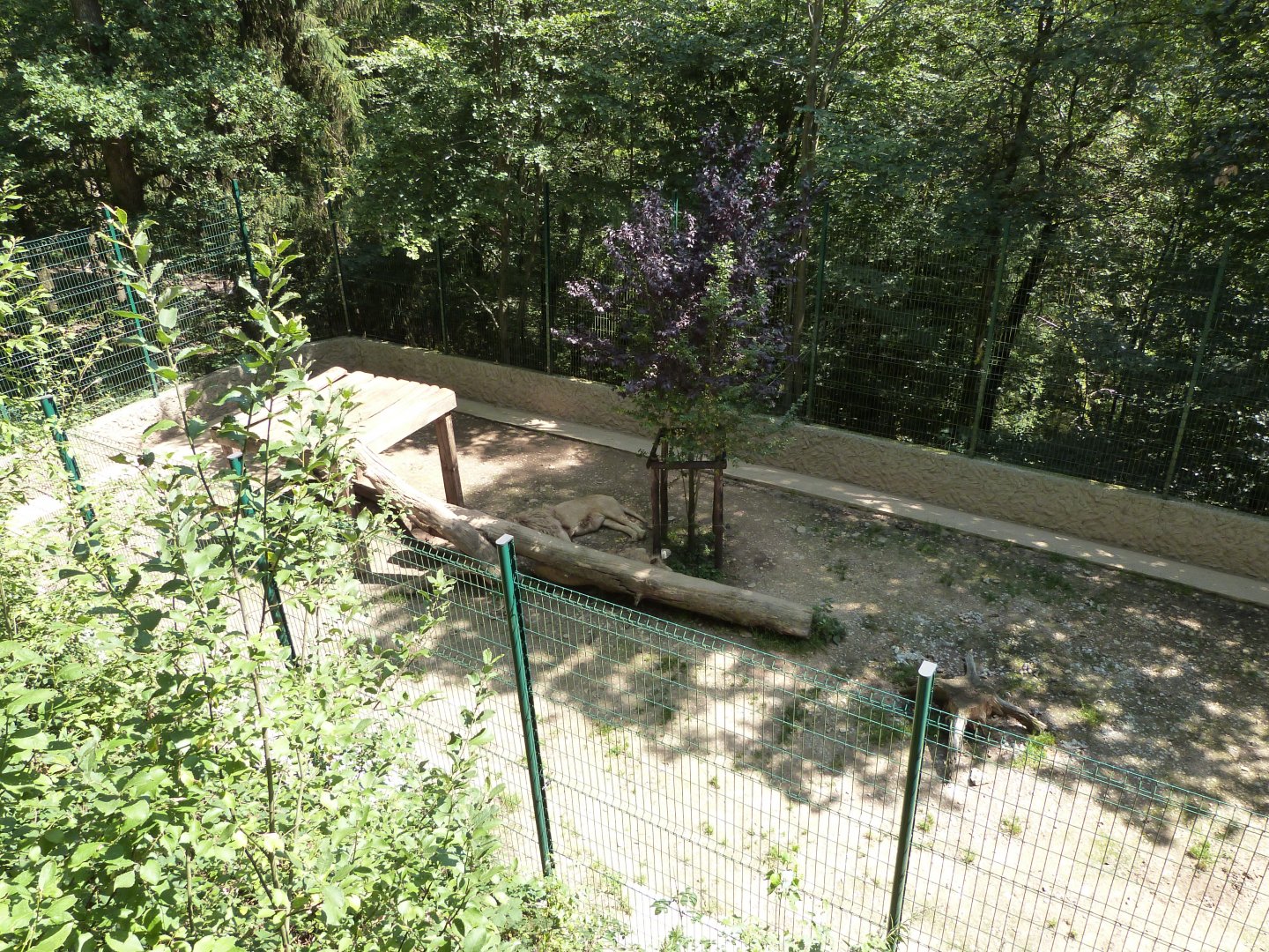 Parc animalier de Bouillon