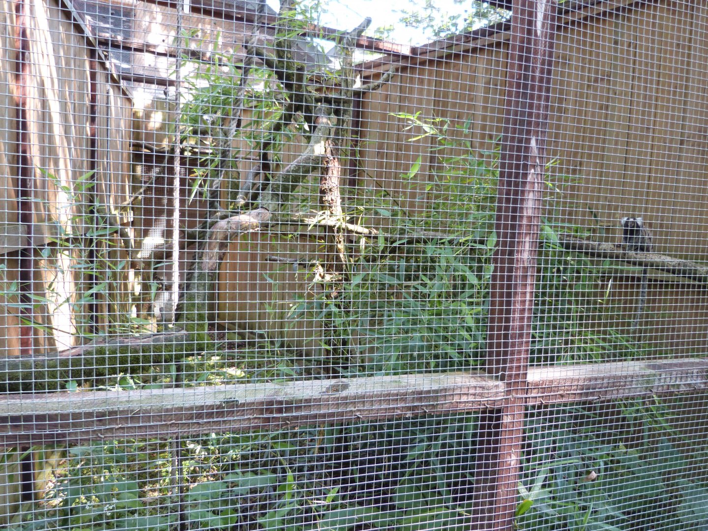 Parc animalier de Bouillon