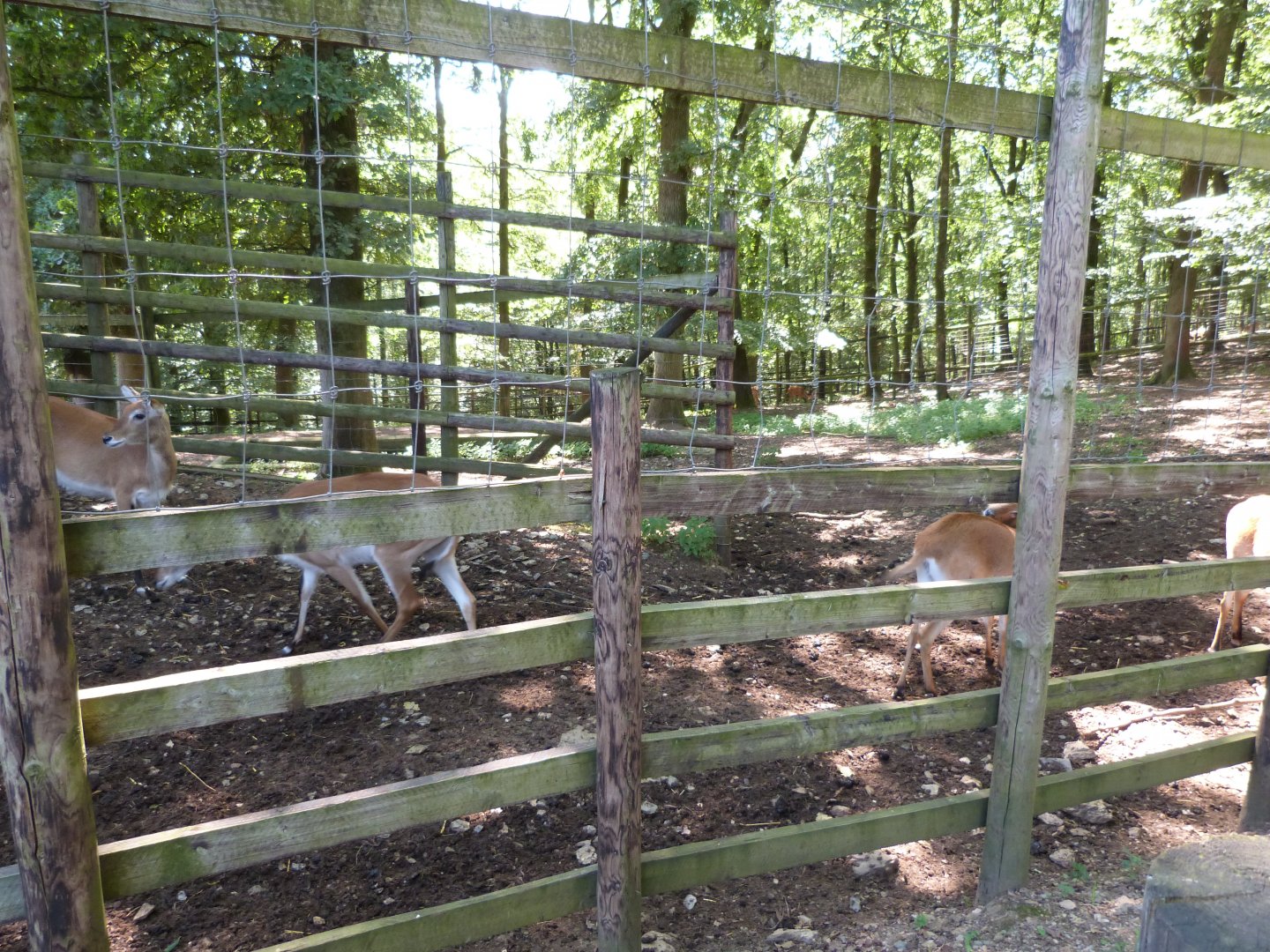 Parc animalier de Bouillon
