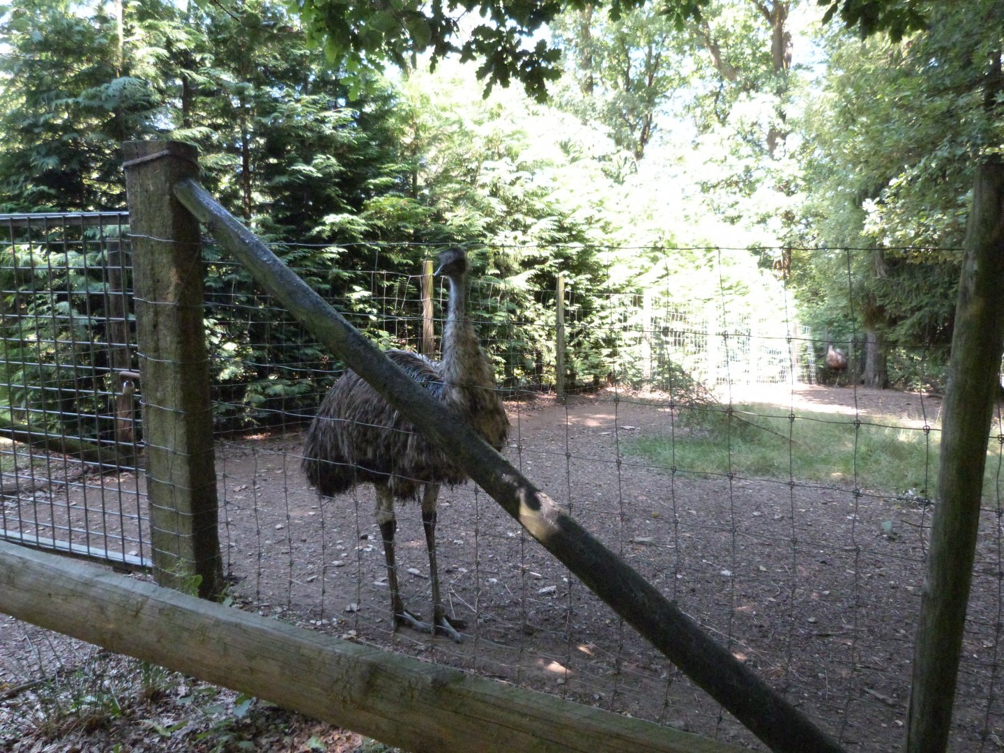 Parc animalier de Bouillon