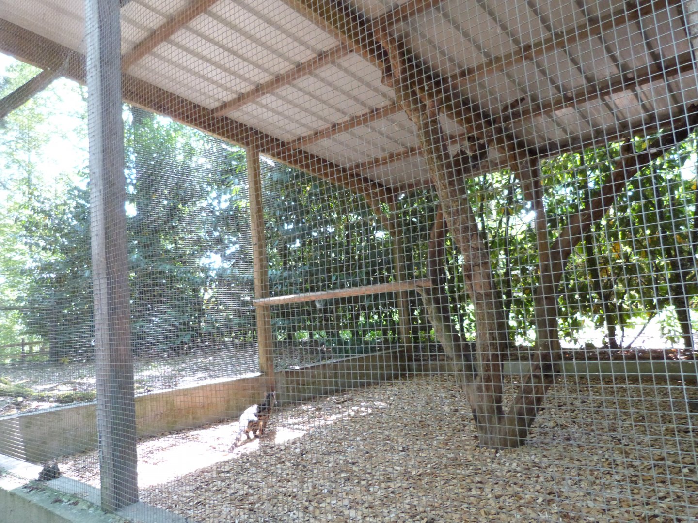 Parc animalier de Bouillon