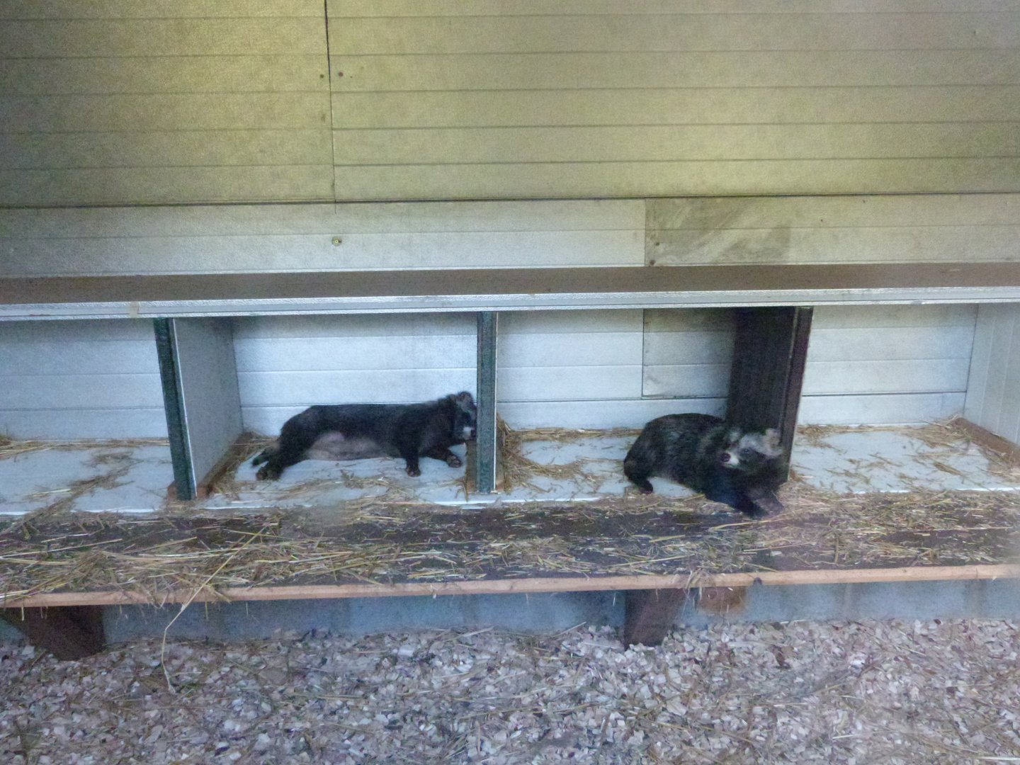 Parc animalier de Bouillon