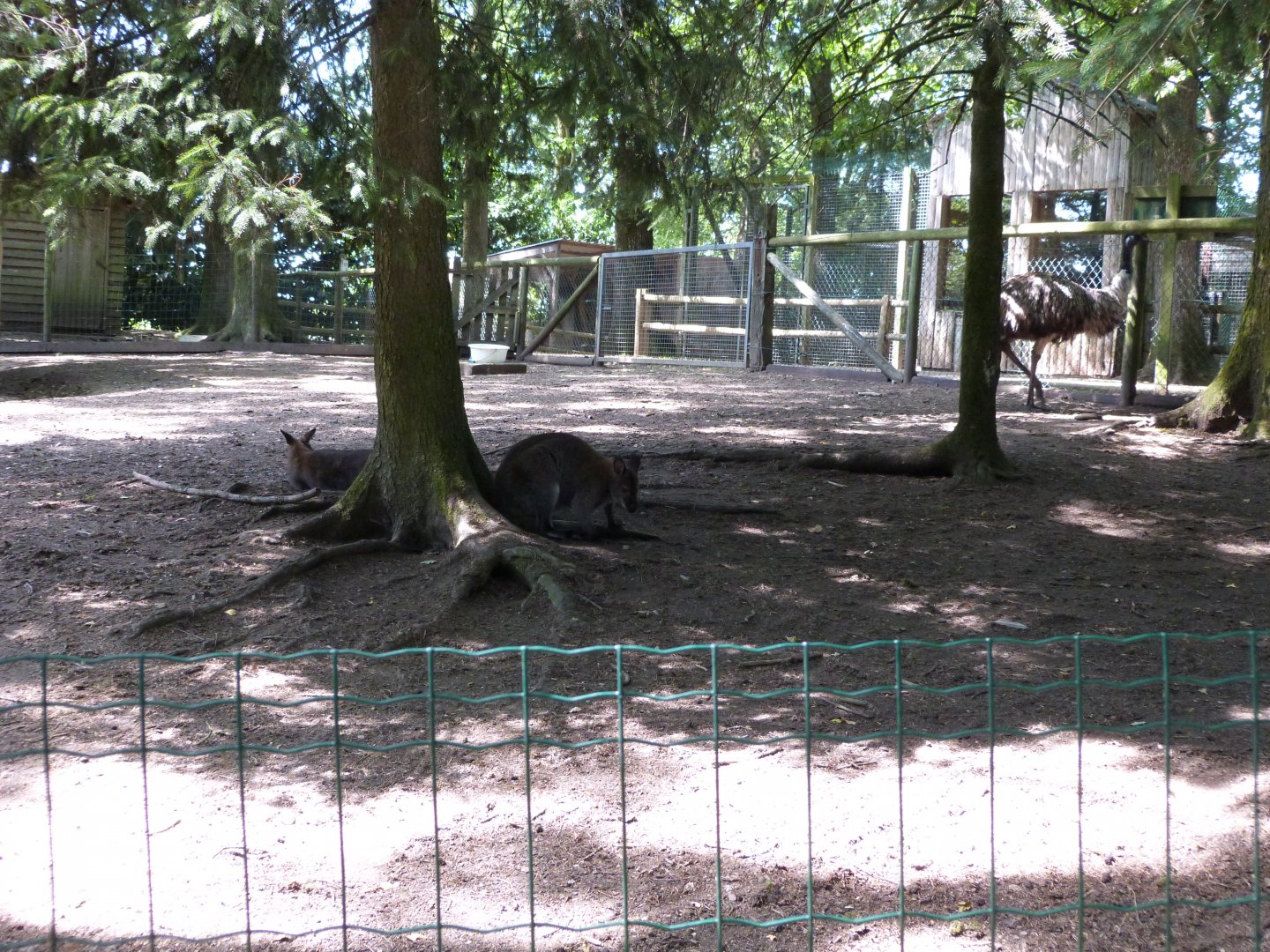 Parc animalier de Bouillon