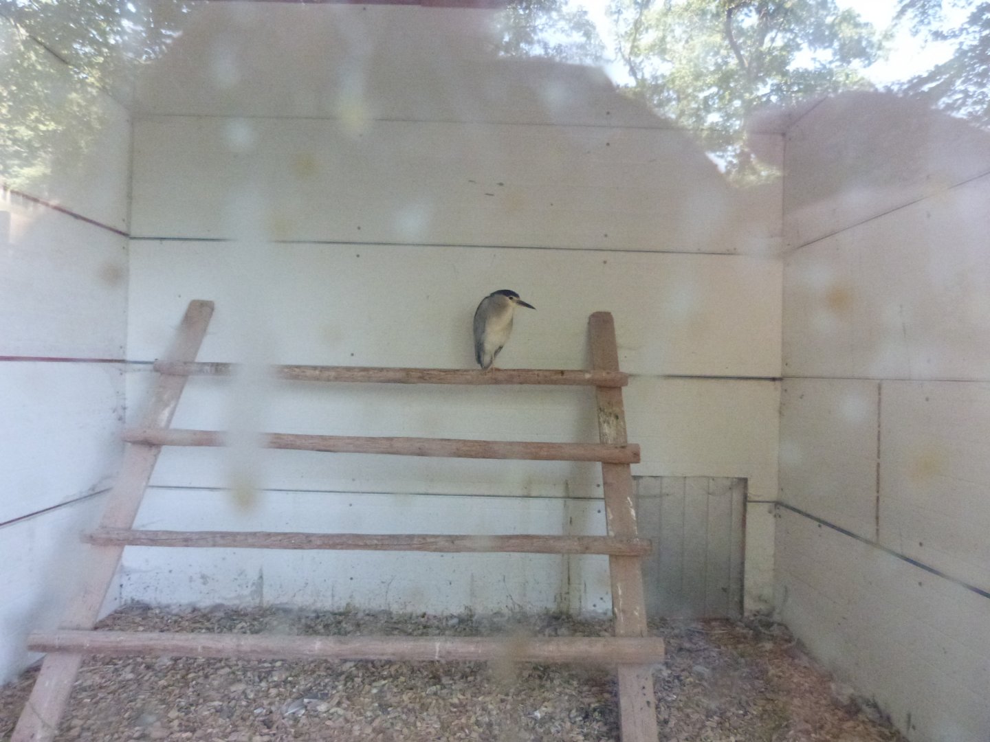 Parc animalier de Bouillon