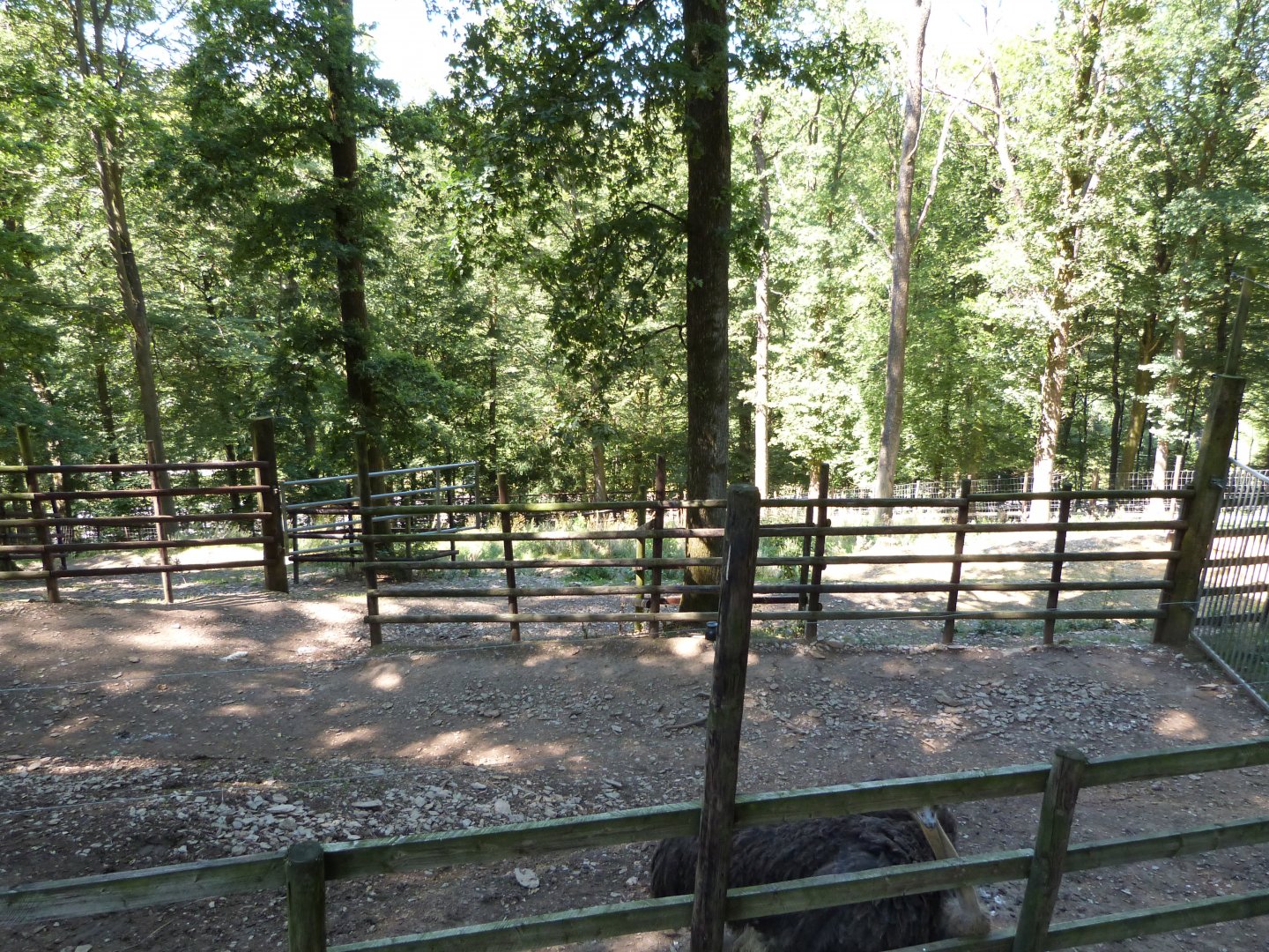 Parc animalier de Bouillon