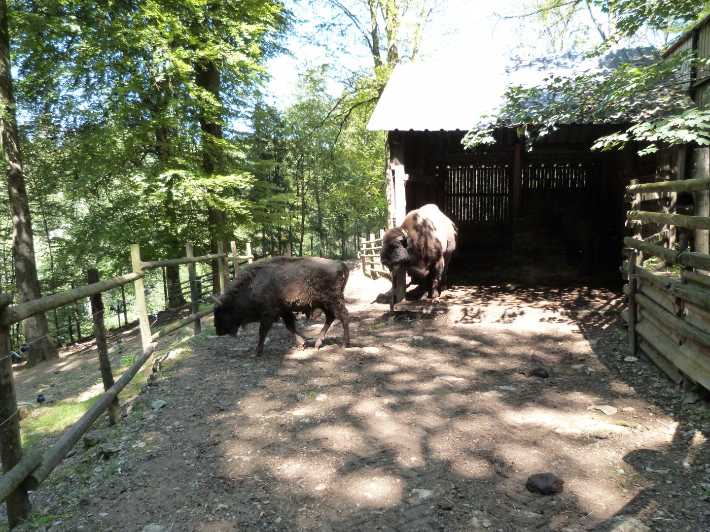 Parc animalier de Bouillon