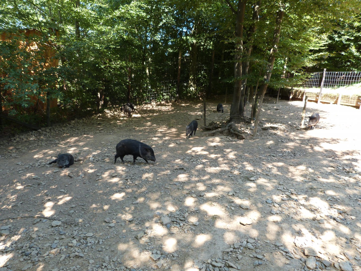 Parc animalier de Bouillon