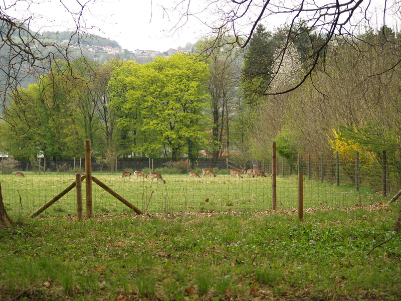 Parc Animalier du Chateau de Vizille