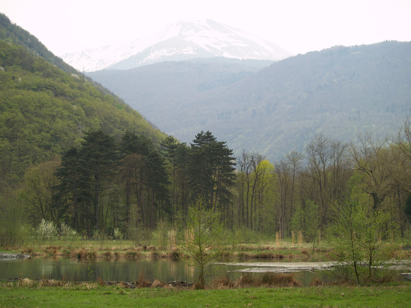Parc Animalier du Chateau de Vizille