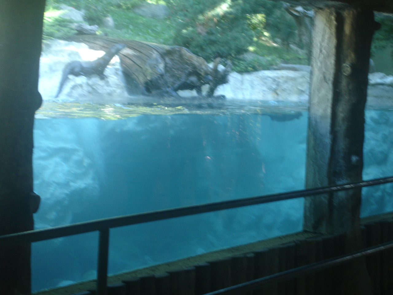 parc animalier pyrenees