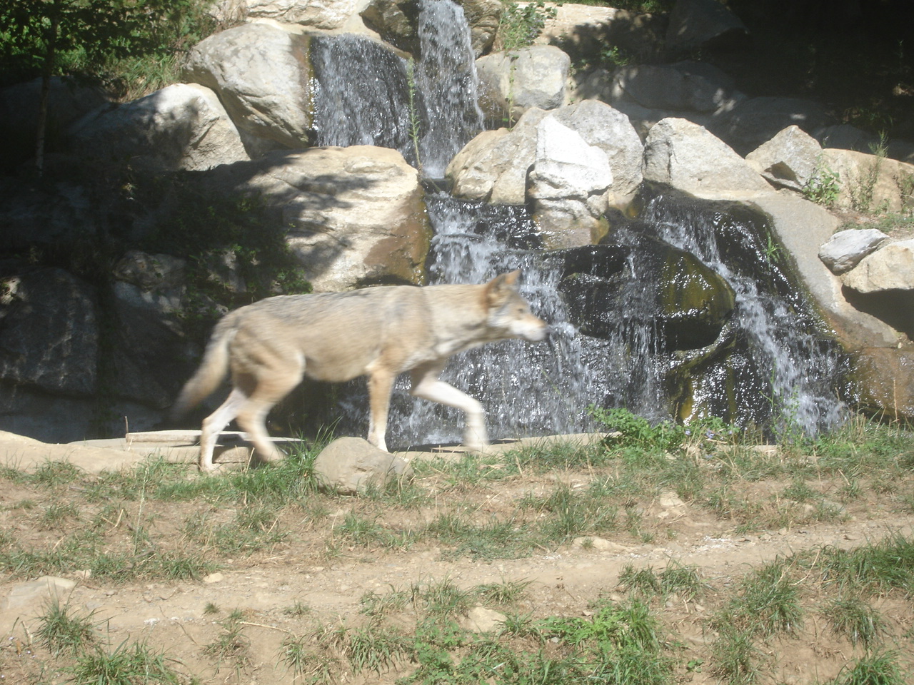 parc animalier pyrenees