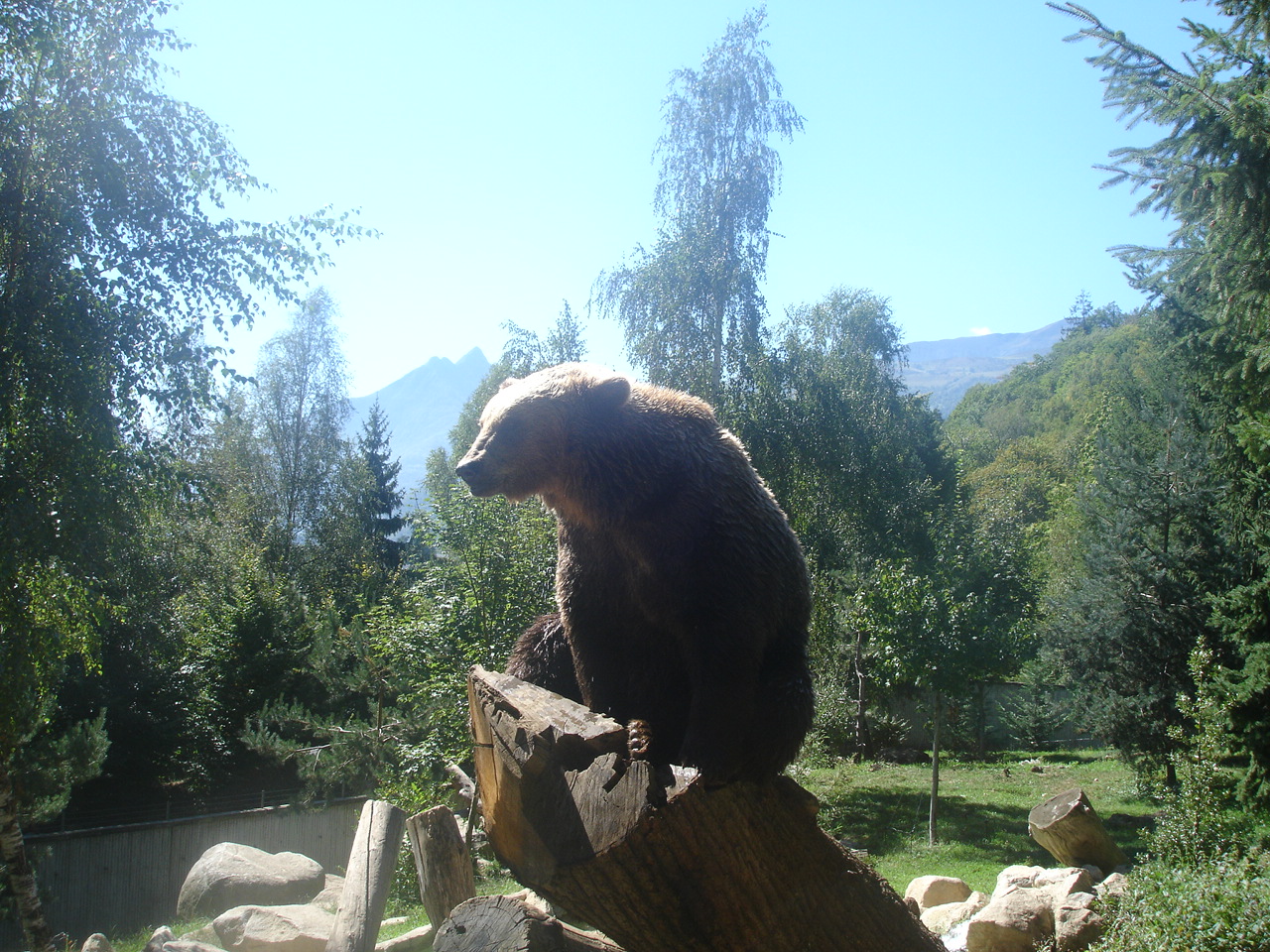 parc animalier pyrenees