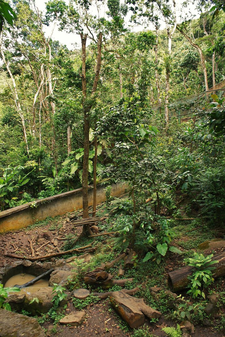 Parc des Mamelles  Guadeloupe
