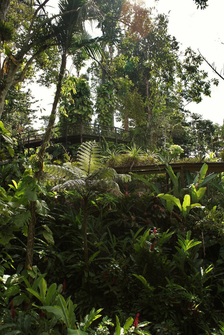 Parc des Mamelles Guadeloupe