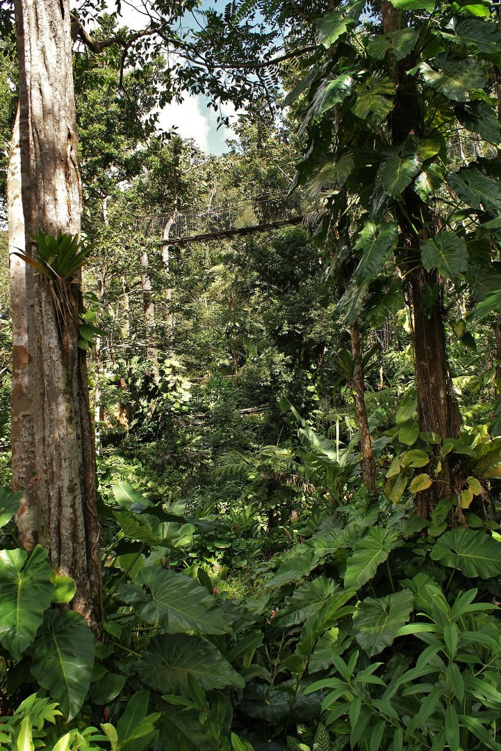 Parc des Mamelles Guadeloupe