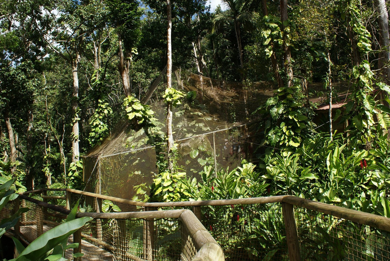 Parc des Mamelles Guadeloupe