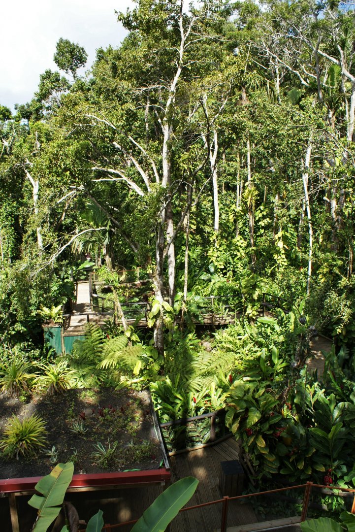 Parc des mamelles    Guadeloupe