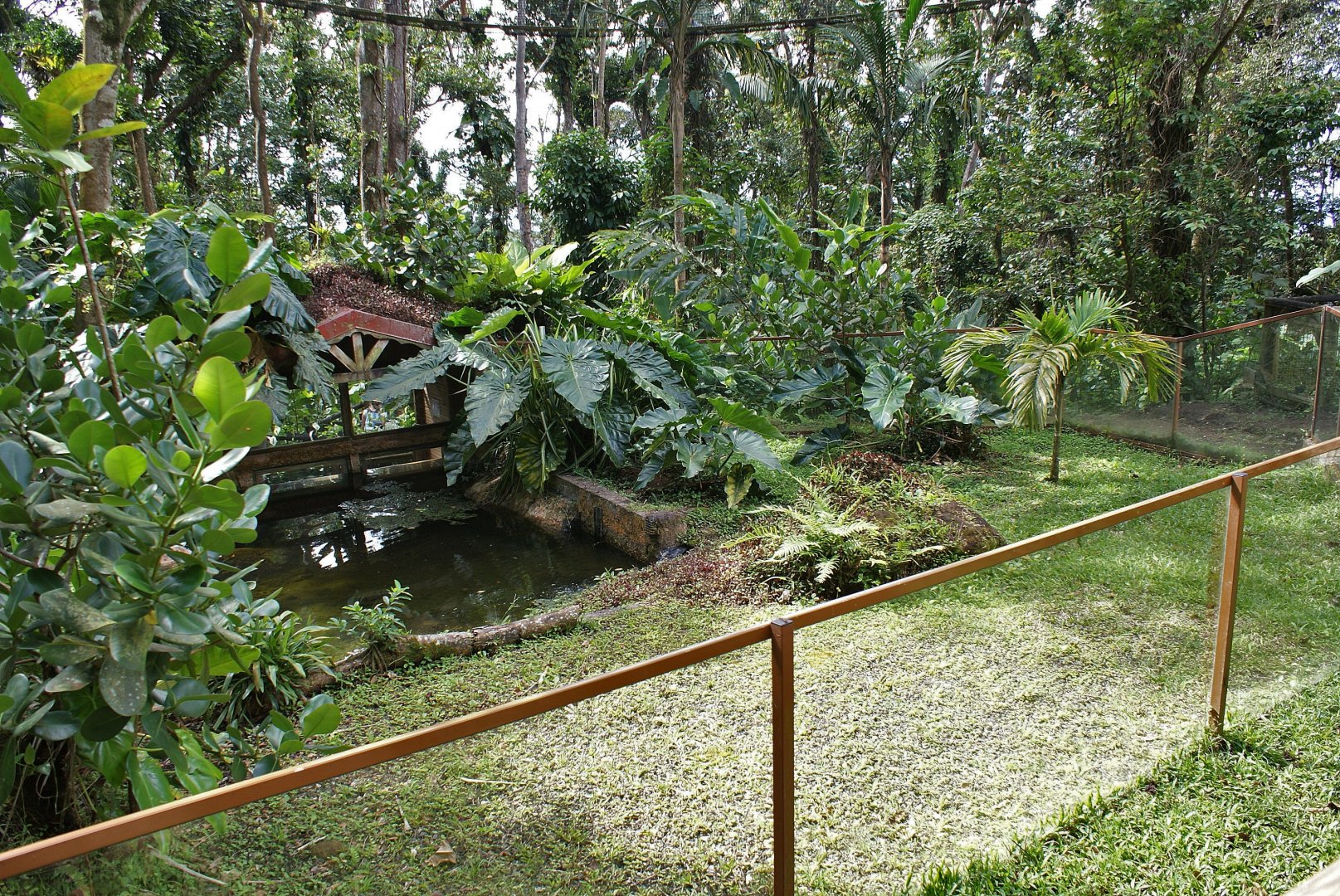 Parc des mamelles    Guadeloupe