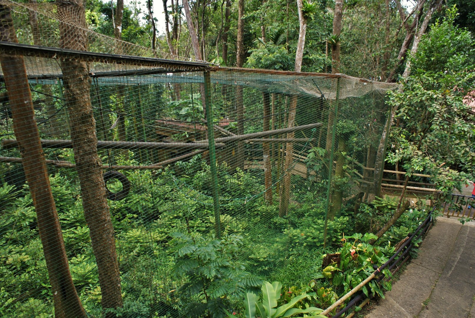 Parc des mamelles    Guadeloupe