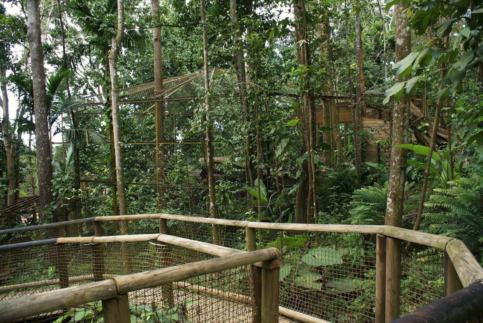 Parc des mamelles    Guadeloupe