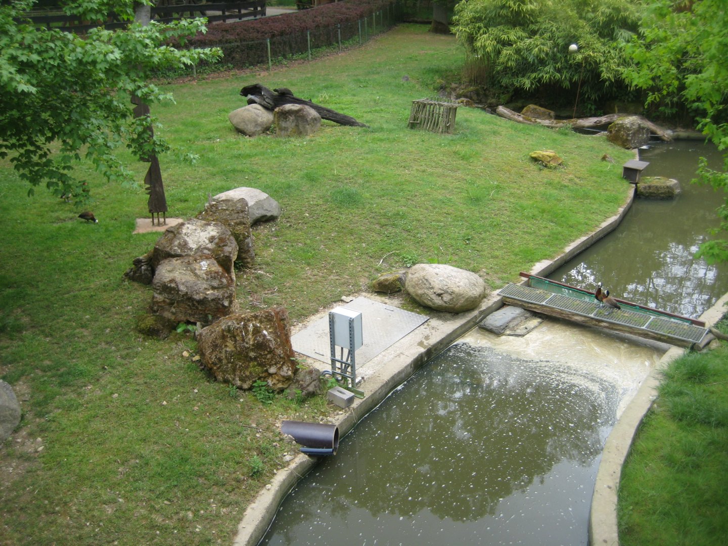 Parc Merveilleux - African pond