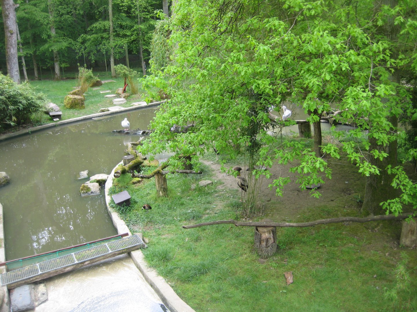 Parc Merveilleux - African pond