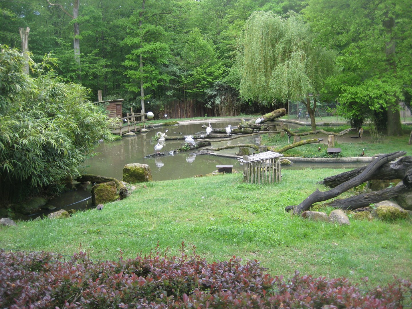 Parc Merveilleux - African pond