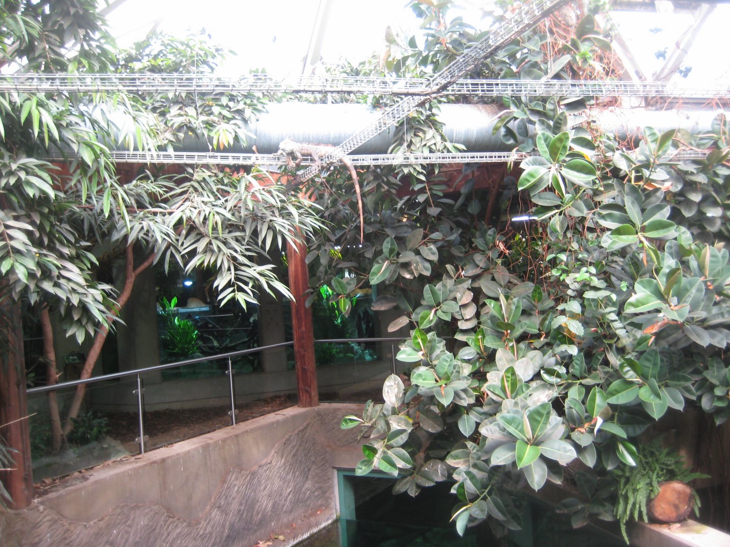 Parc Merveilleux - Amazonia