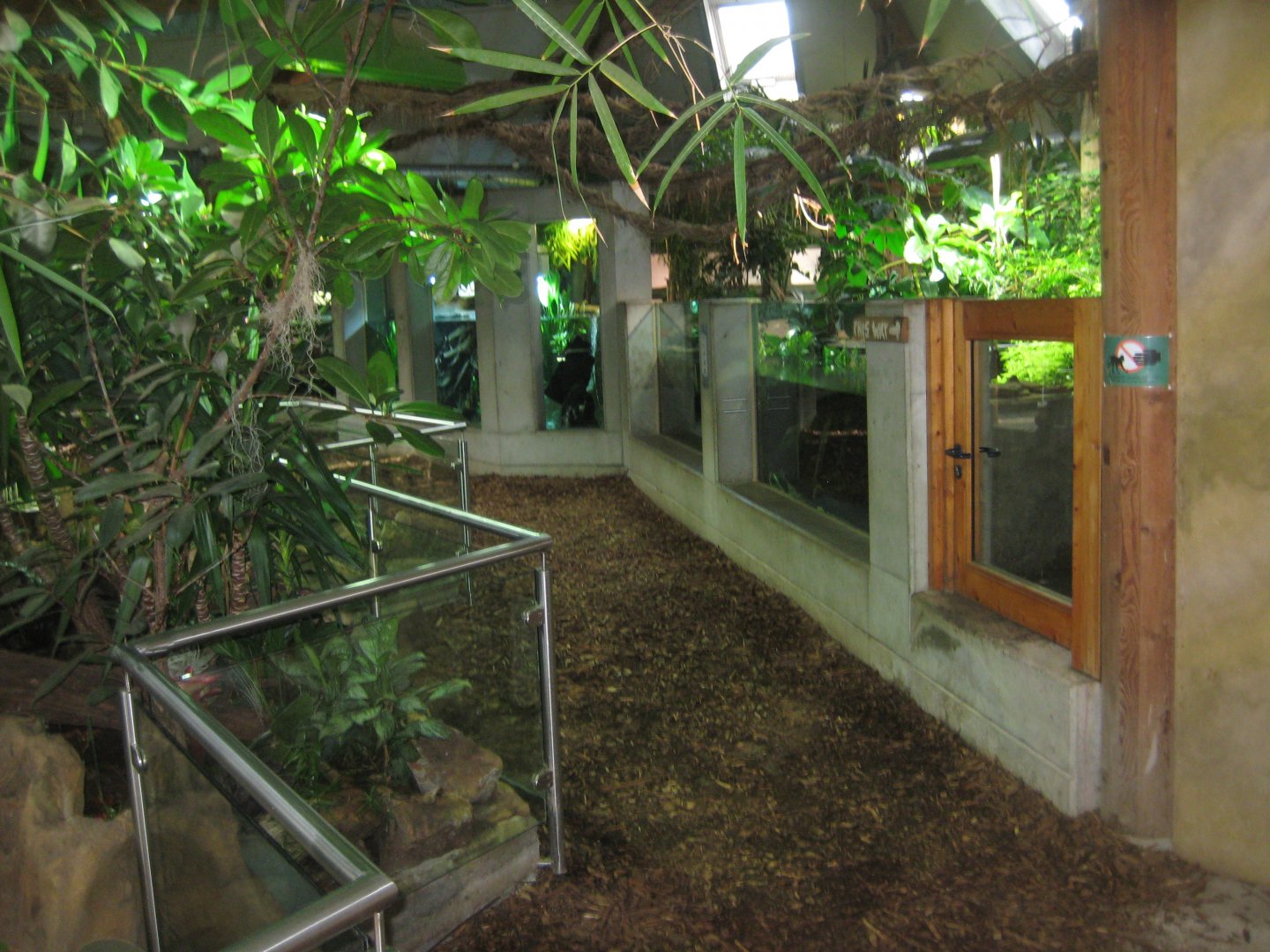 Parc Merveilleux - Amazonia