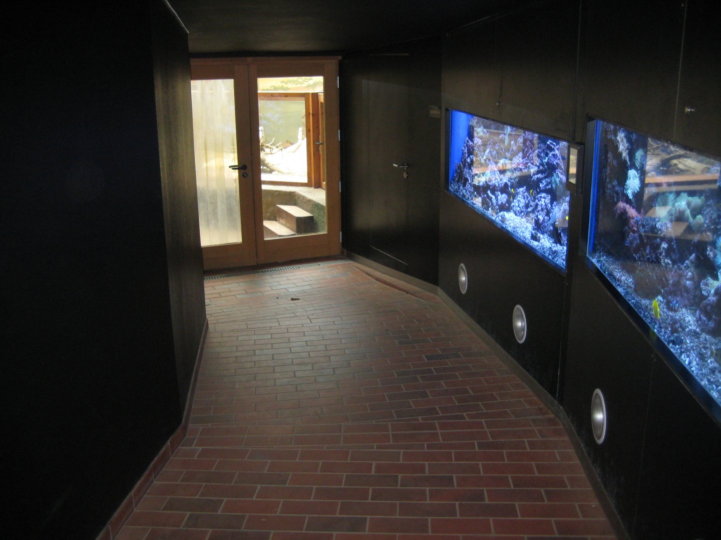Parc Merveilleux - aquarium hallway