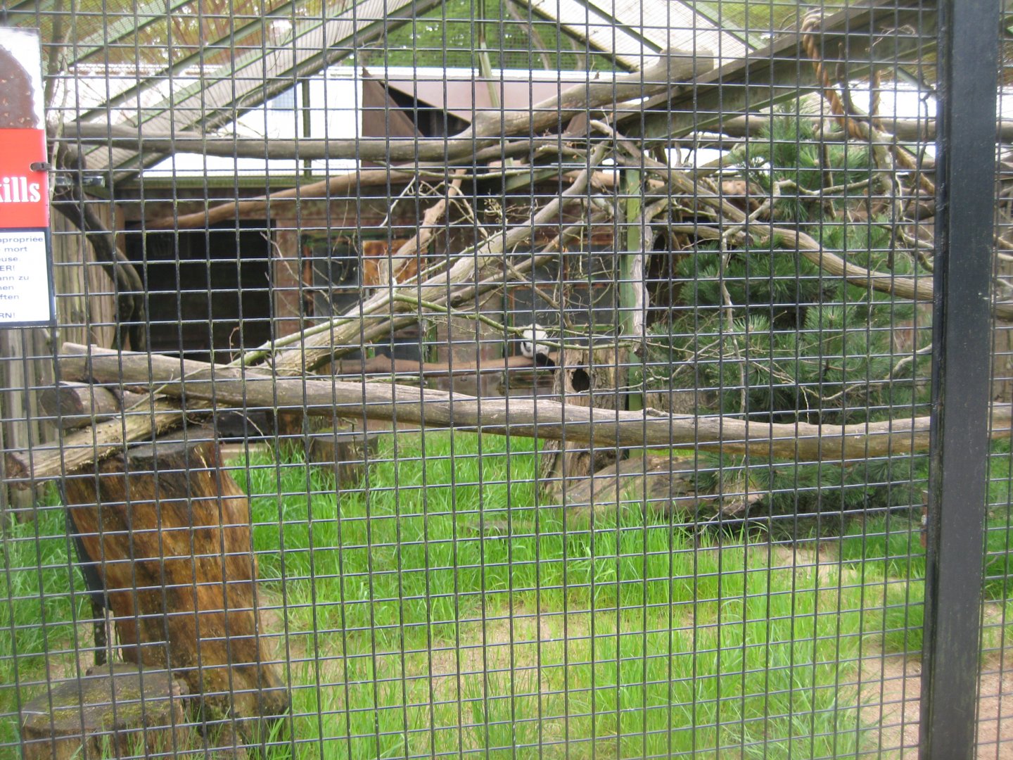 Parc Merveilleux - black-and-white ruffed lemur exhibit