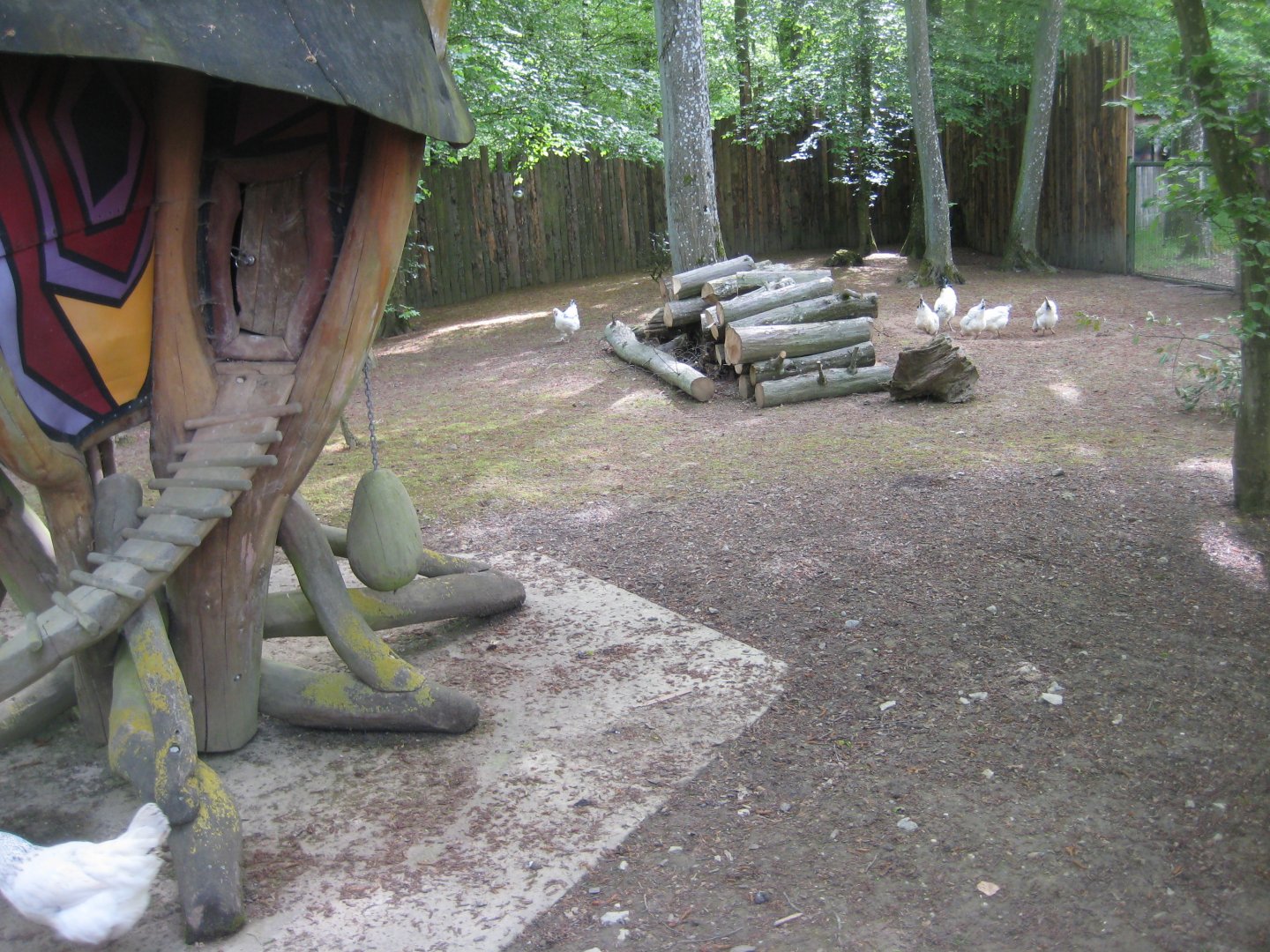 Parc Merveilleux - chicken exhibit