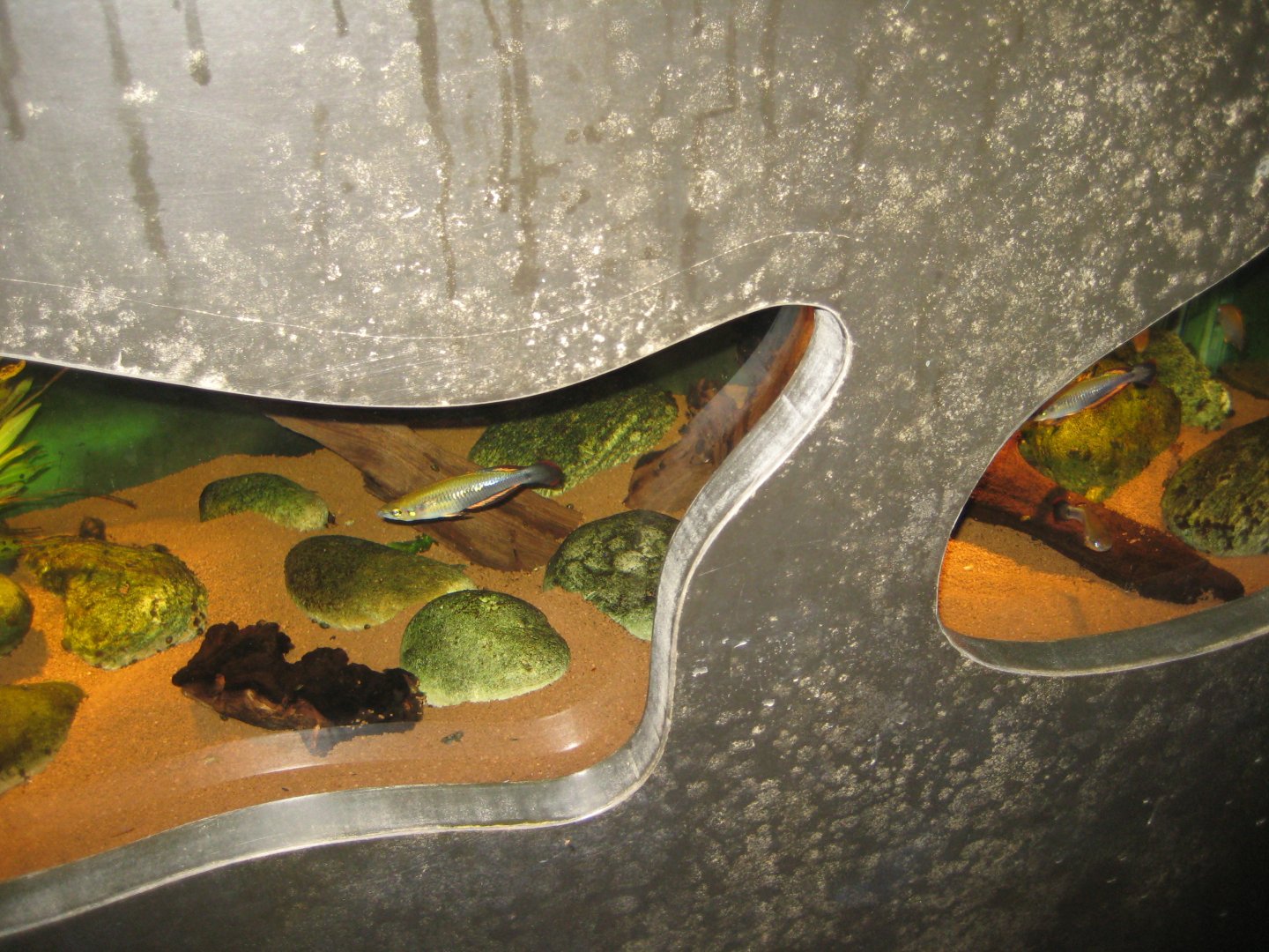 Parc Merveilleux - Mahajanga - aquarium