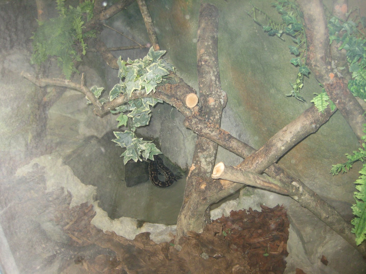 Parc Merveilleux - Mahajanga - Dumeril's boa exhibit