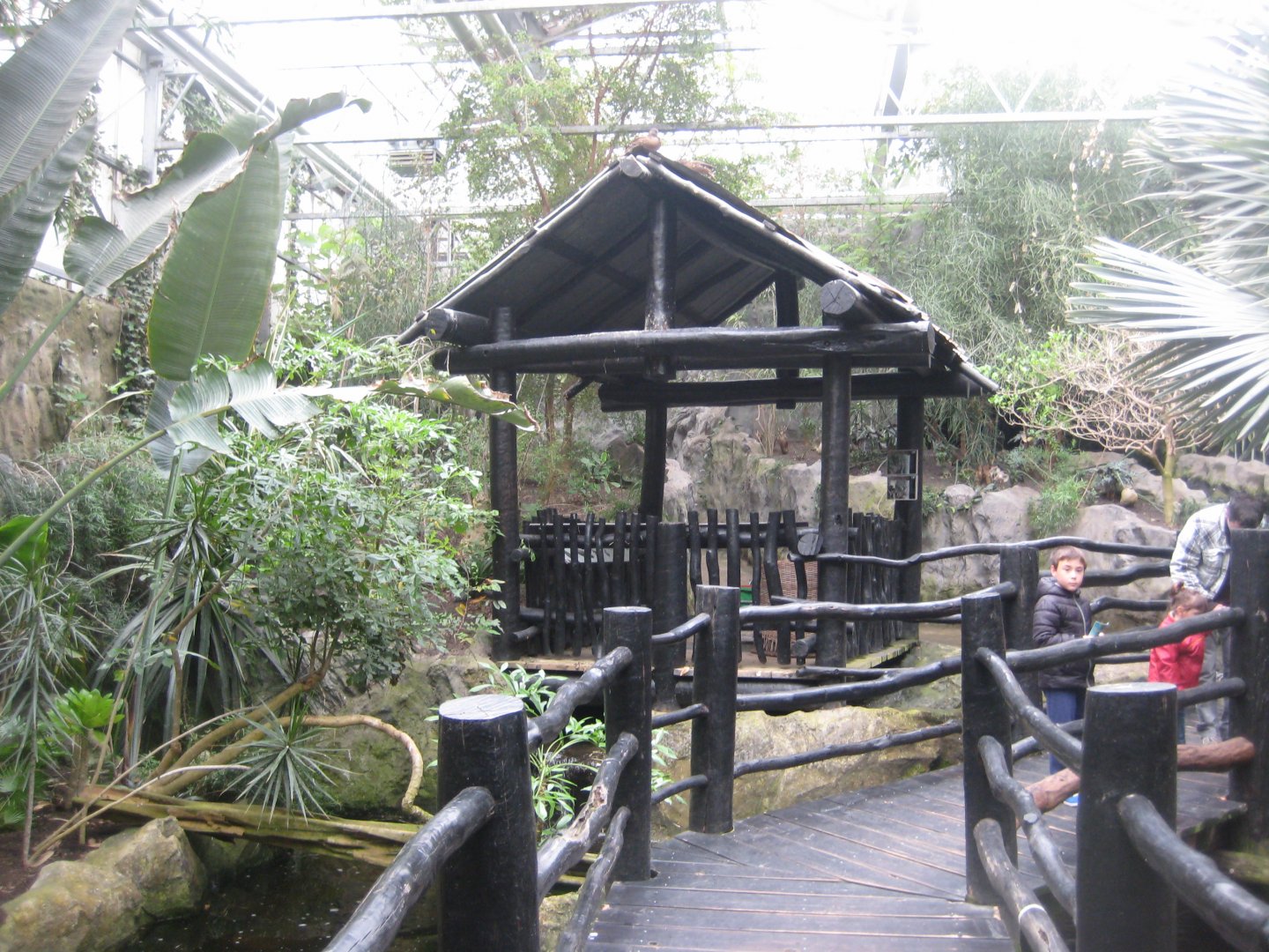 Parc Merveilleux - Mahajanga