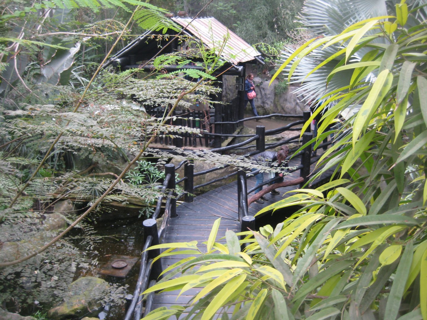 Parc Merveilleux - Mahajanga