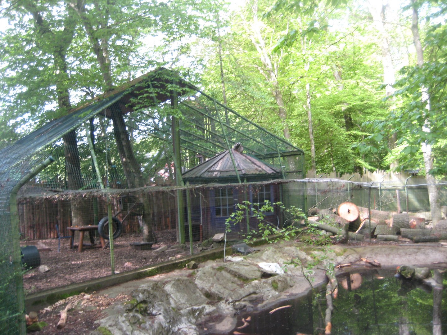Parc Merveilleux - raccoon exhibit