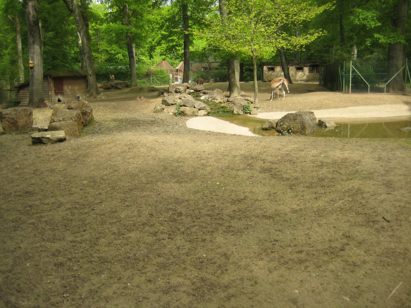 Parc Merveilleux - South American exhibit