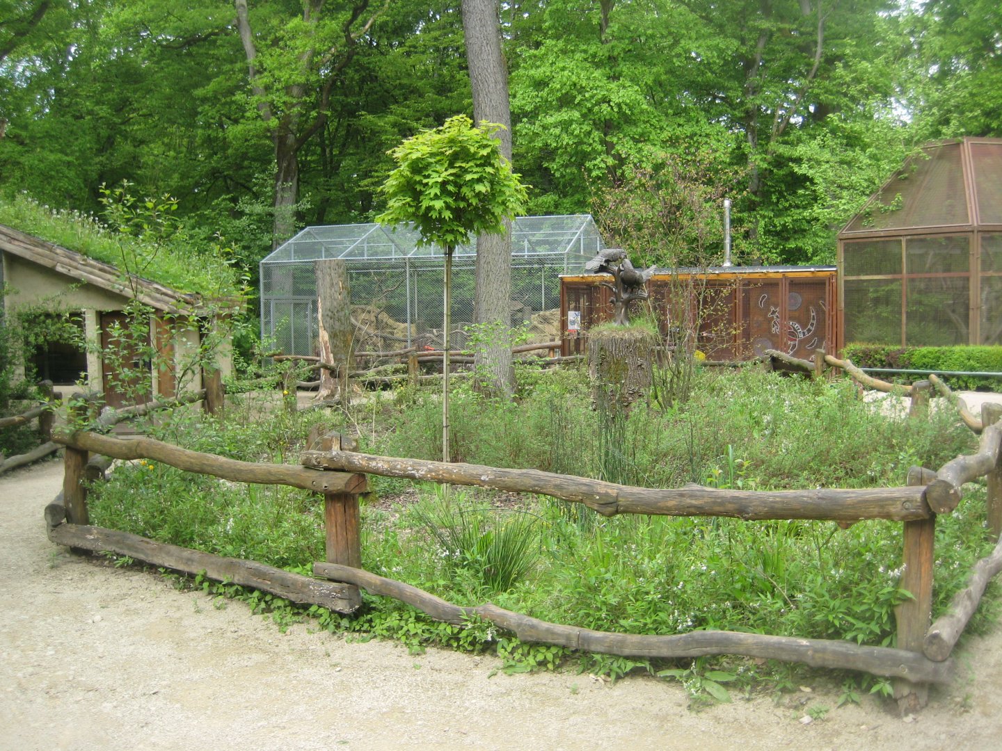 Parc Merveilleux - view to parrot aviaries