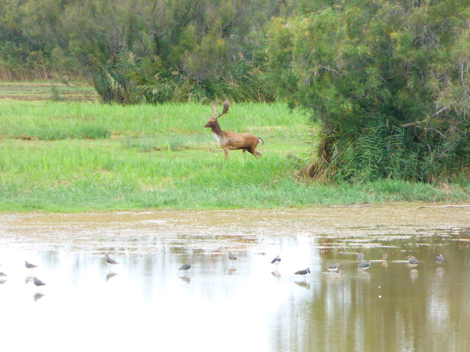 Parc Natural Aiguamolls de L'Emporda