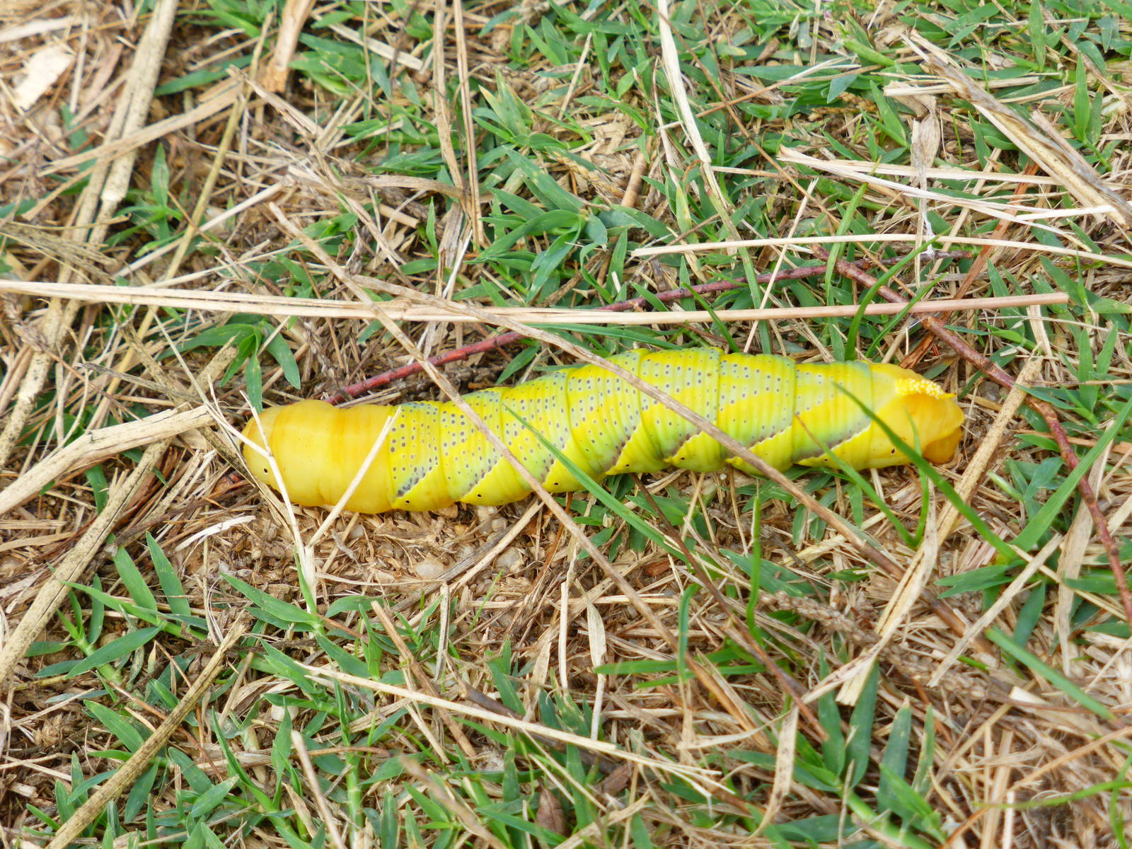 Parc Natural Aiguamolls de L'Emporda