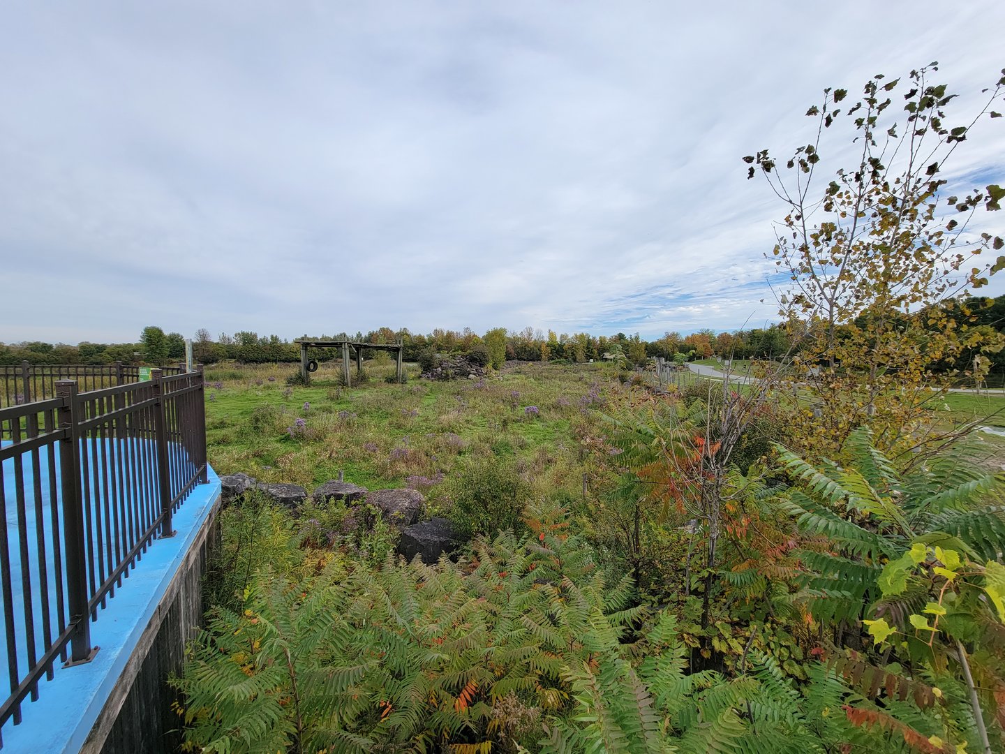 Parc Safari - Afrika Terrace, African elephant yard