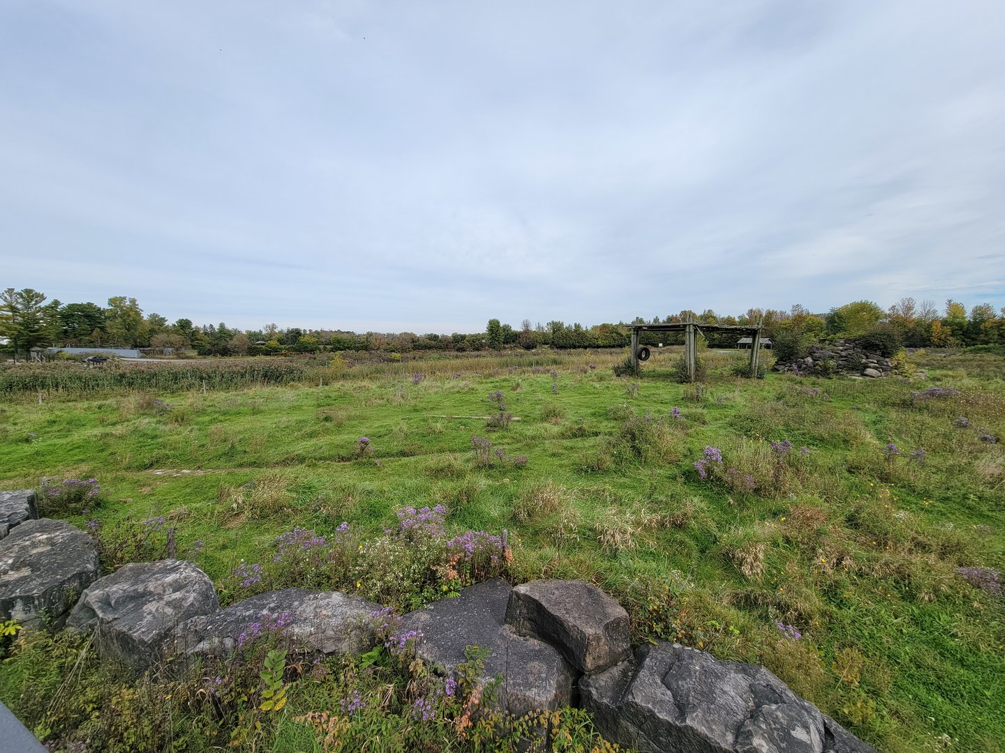 Parc Safari - Afrika Terrace, African elephant yard